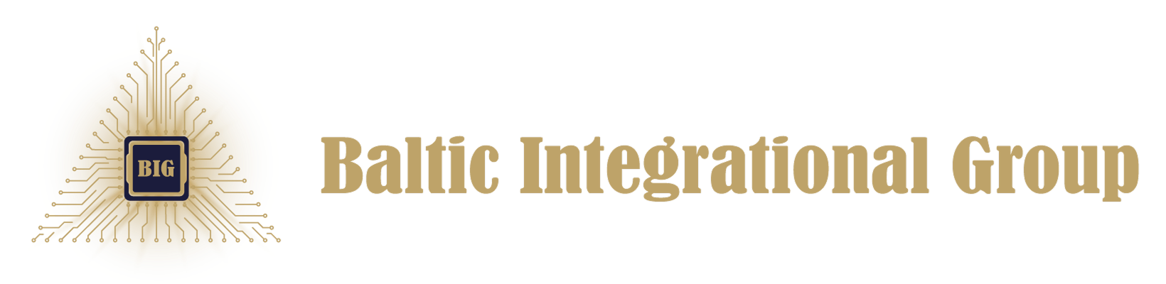 Baltic Integrational Group Banner